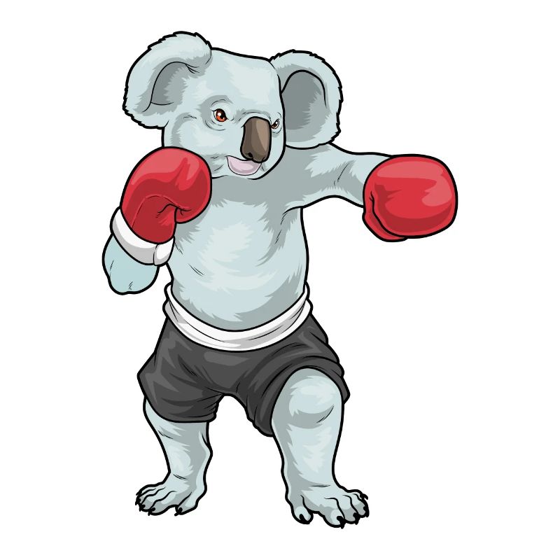 Koala Boxer Gants de Boxe Boxe