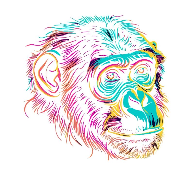 Néon Singe Portrait Couleur Explosion