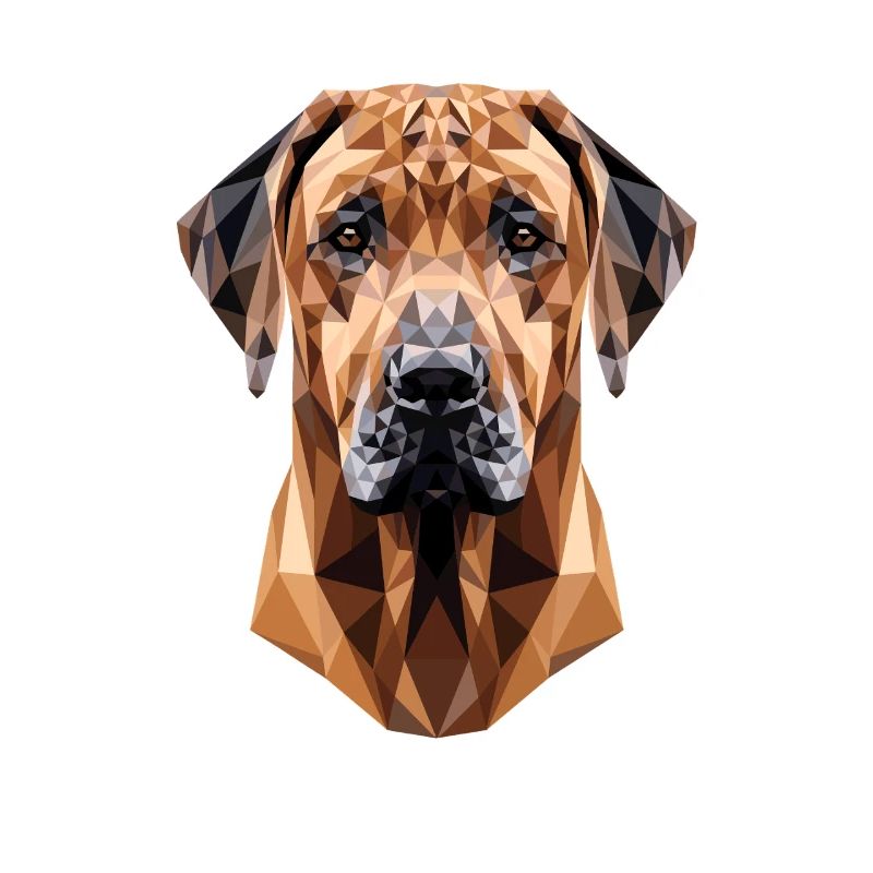 Rhodesian Ridgeback Jagdhund Hunde Stolz Ridgeback