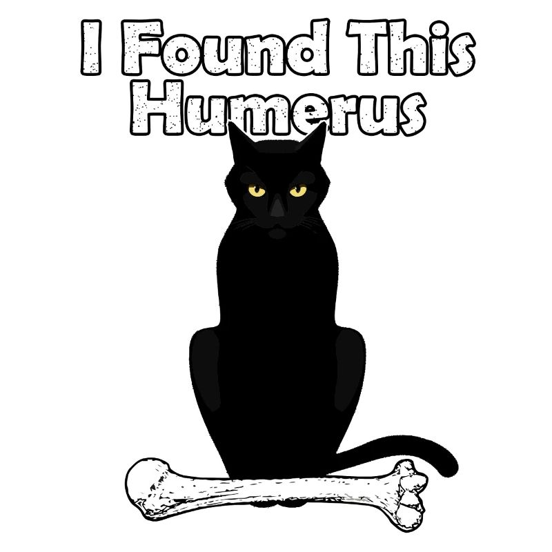 I Found This Humerus Cat
