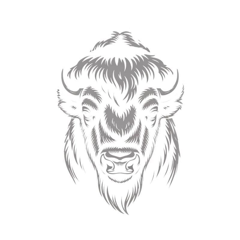 Tête de bison gris