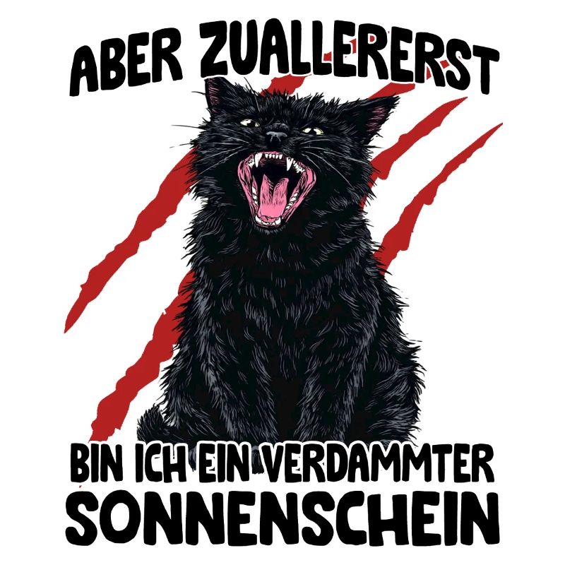 Schwarze Katze Goblin Mode aggressive Katze Zoomie