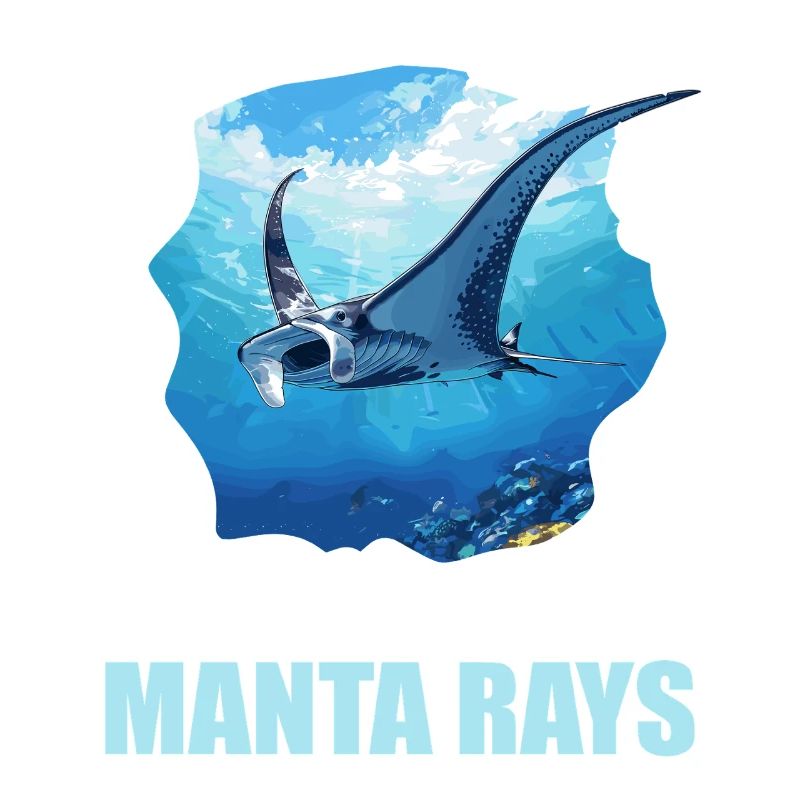 Rays Manta Rays