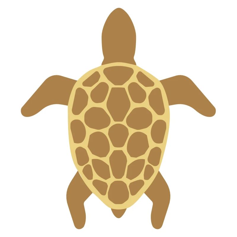 Tortue de mer