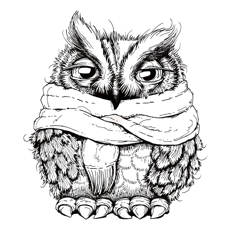 Freezing Owl