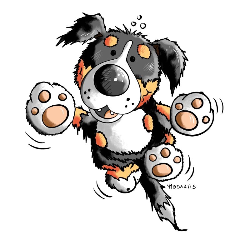 Brain der Berner Sennenhund