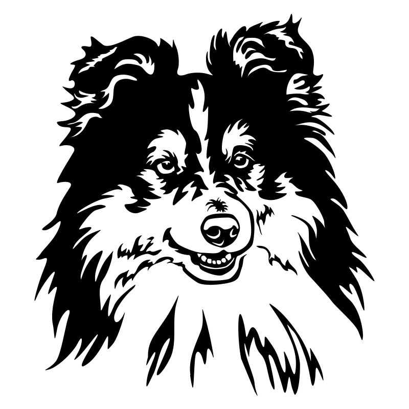 Sheltie Kopf