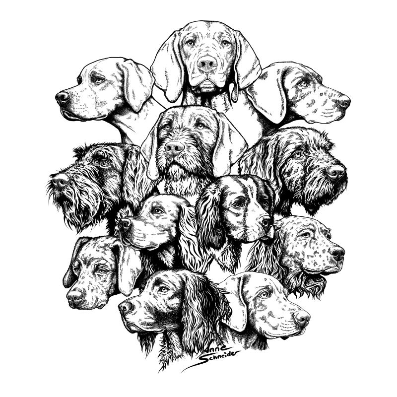 Chiens pointant des objets cachés