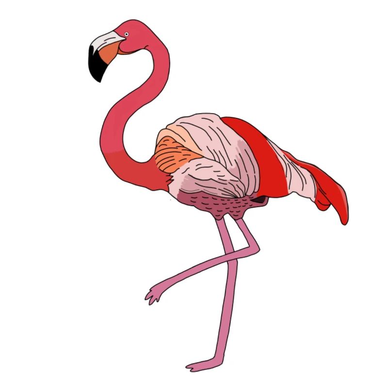 Flamant