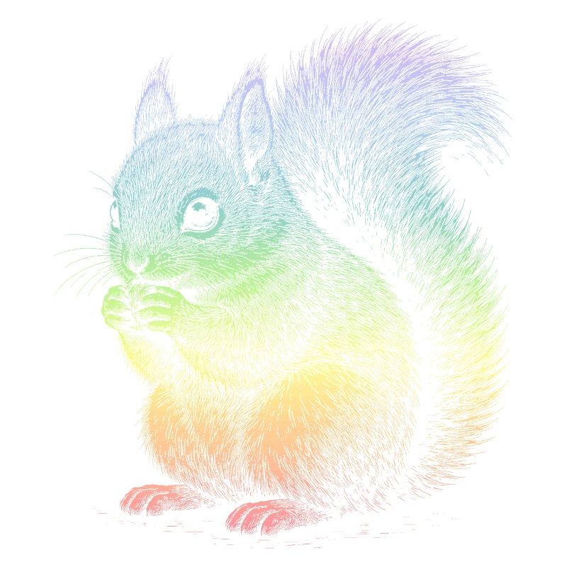 Squirrel