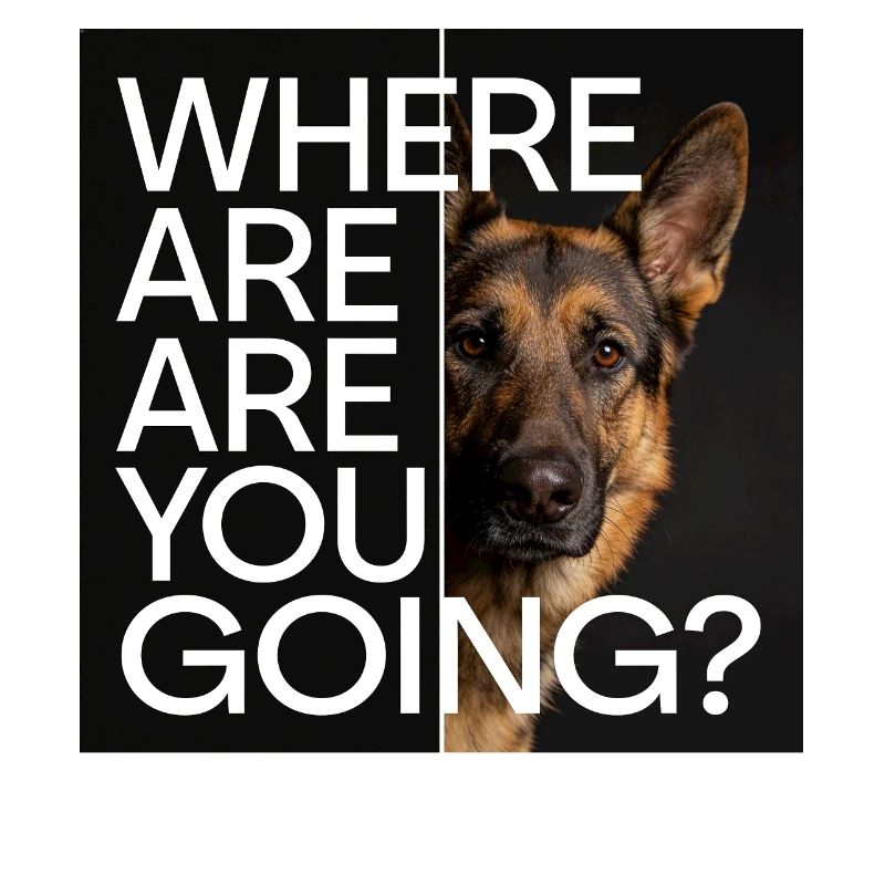 German Shepherd Statement Motif
