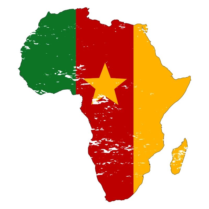 Drapeau du Sénégal Afrique utilisé
