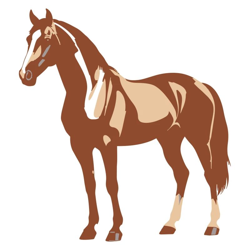 Pferd Design