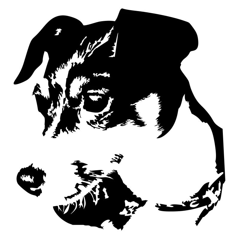 Tête de Jack Russell Terrier