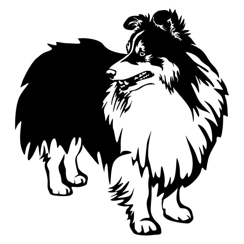 Sheltie