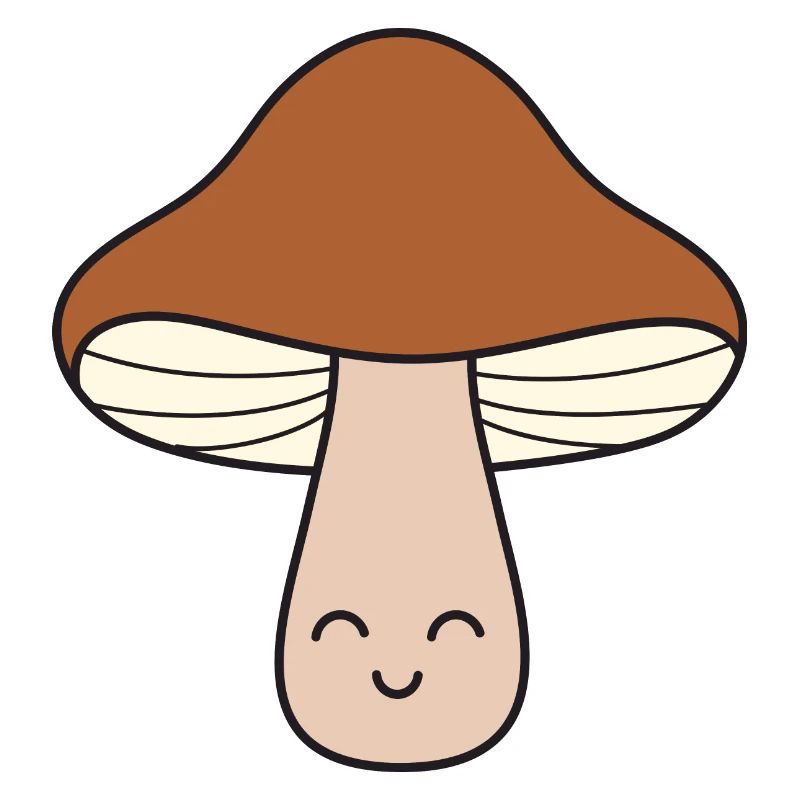 Champignons champignons