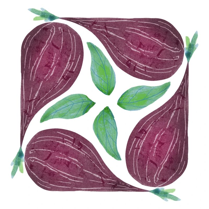 Red Onion Pattern