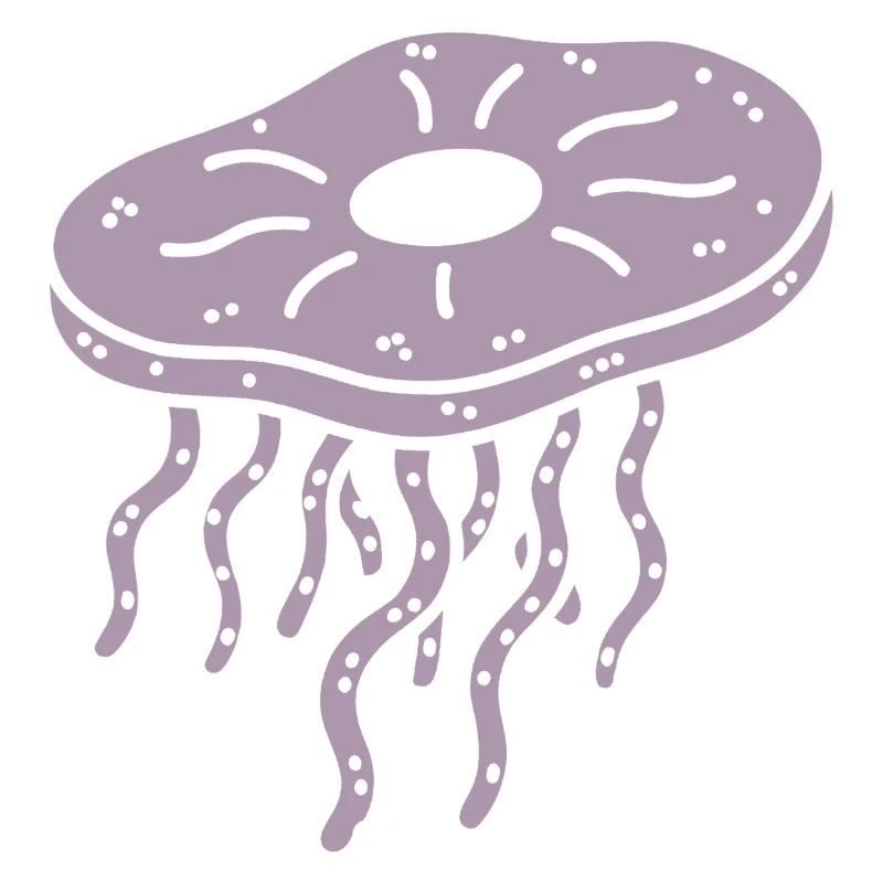 Minimalist Kombucha SCoby Tea Jellyfish