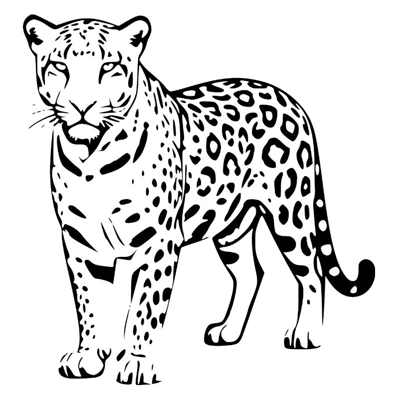 Black Leopard Gift Cat Lover