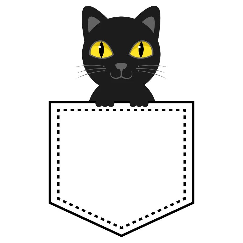Taschentier schwarze Katze