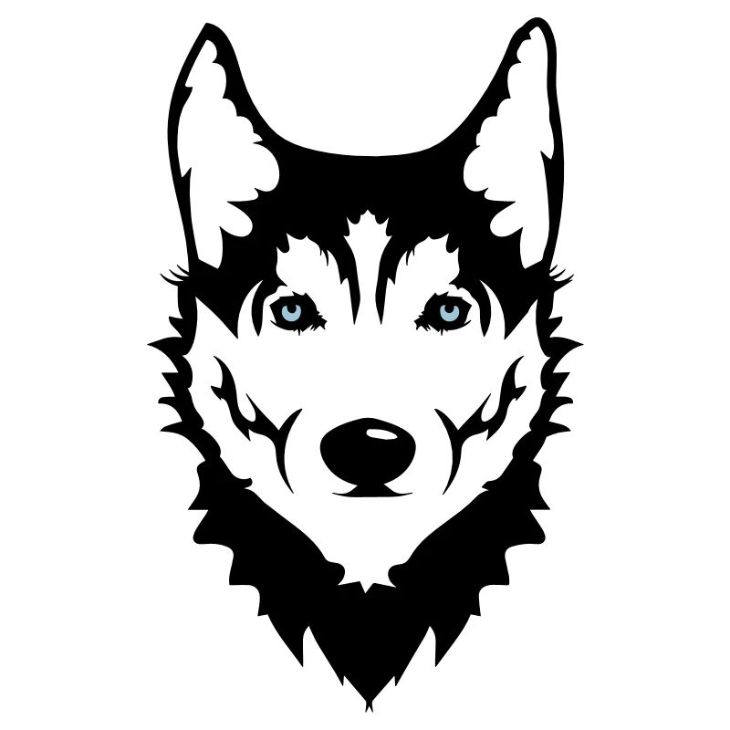 Ein Kopf eines Husky Hundes
