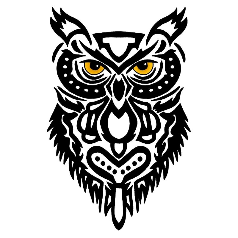 Der Blick der schwarzen Eule