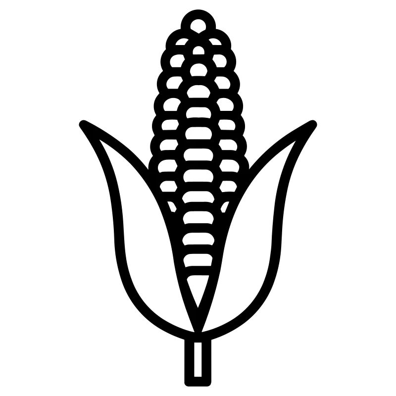 corn on the cob