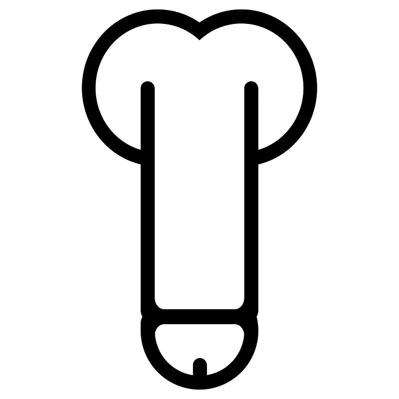 dick
