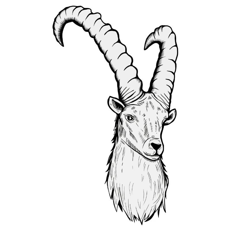 Steinbock Sternzeichen