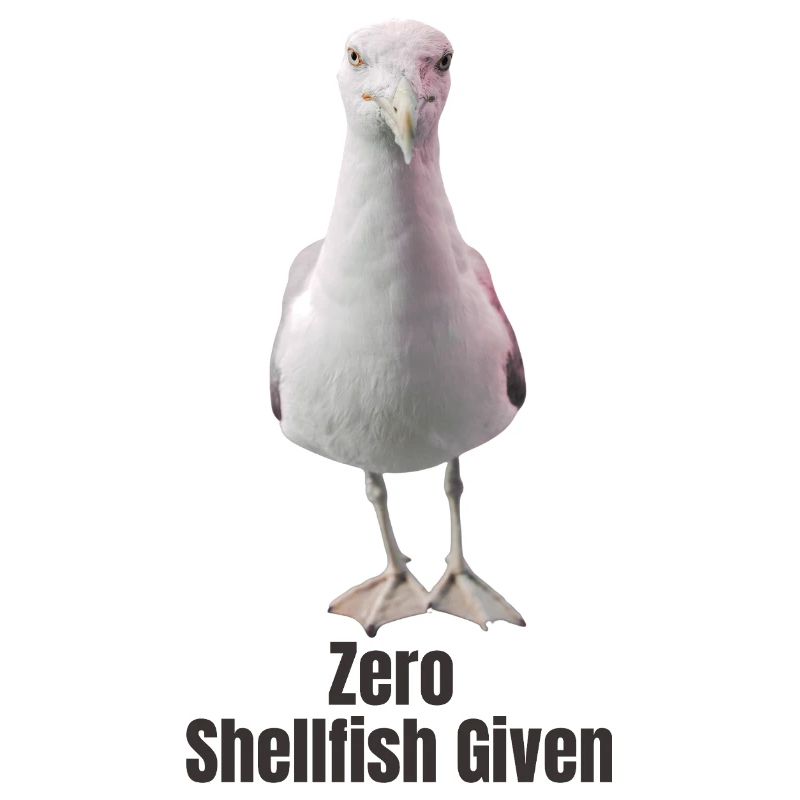 Abstrakte Möwe mit farbigen Akzenten