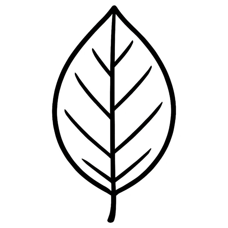 Black leaf line design