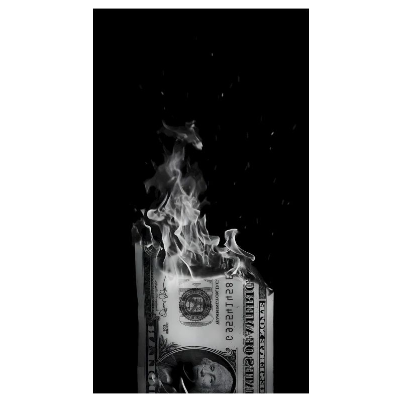 Dollerinthefire