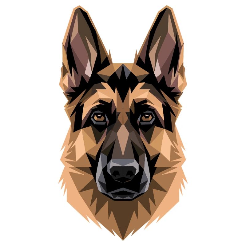 Schäferhund Hund Liebe Deutscher Schäferhund Hunde