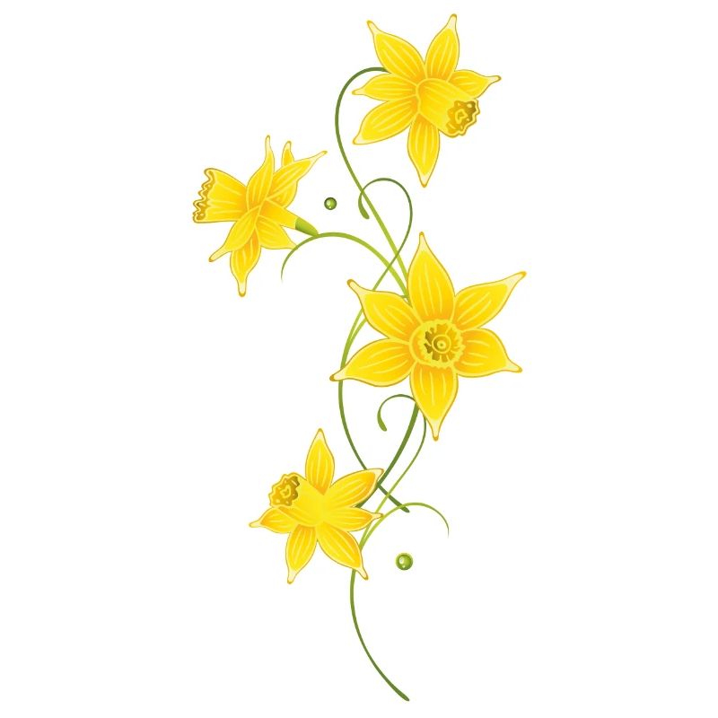 Filigree Daffodils Flowers. Spring, Easter.