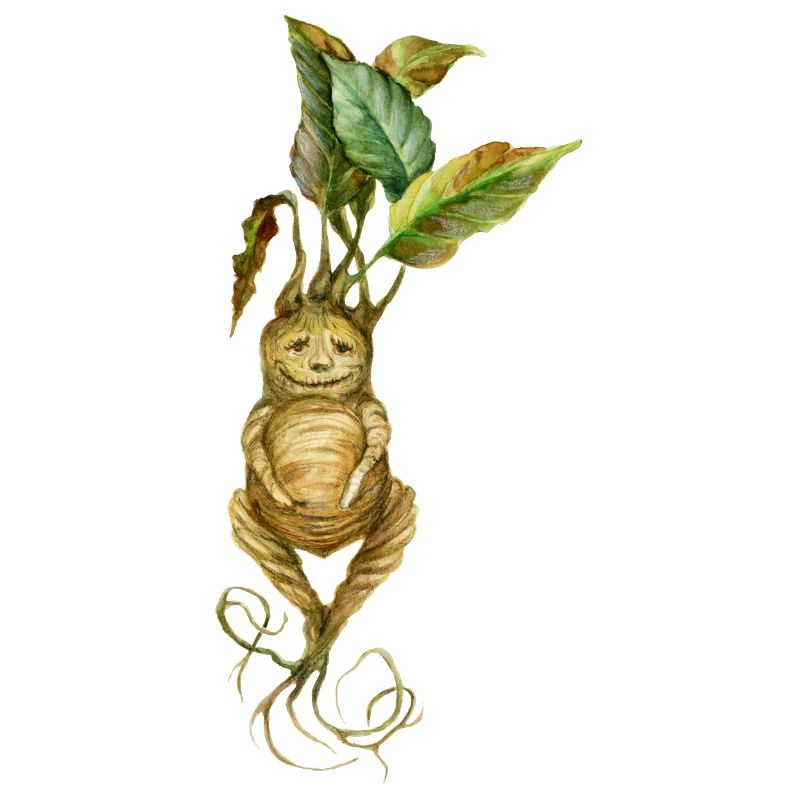 Root Creature Fantasy Mythical Creature Design