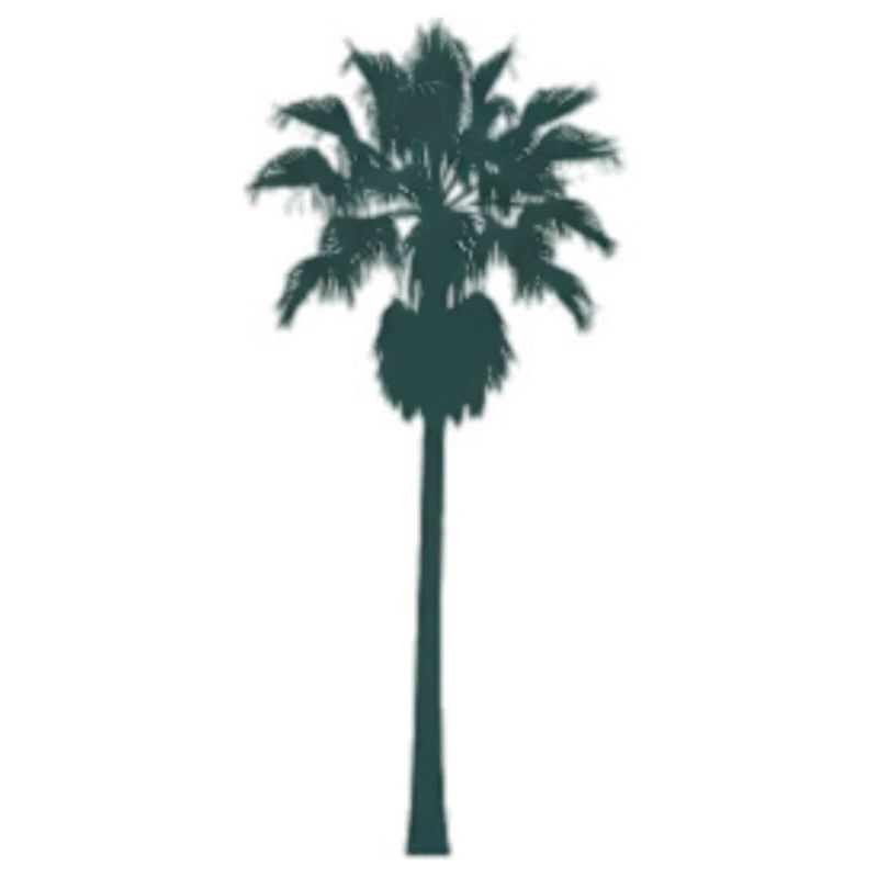Conception de palmier tropical
