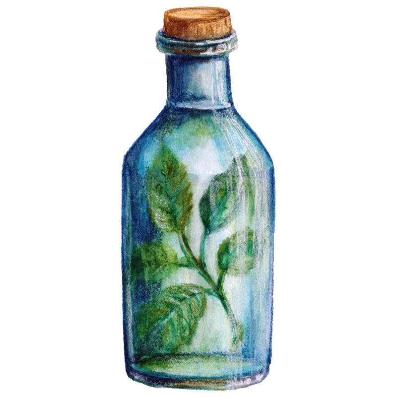 Herb Witch Cocktailtime Magic Design