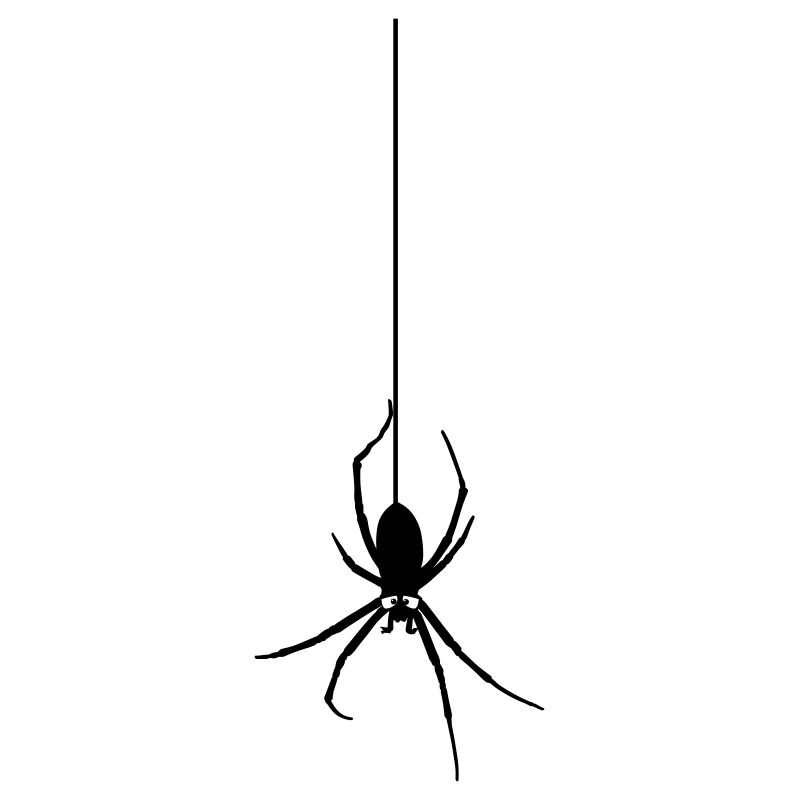 Araignée