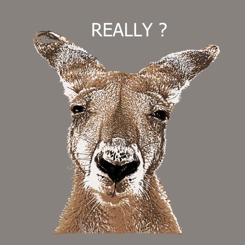 Kangaroo really