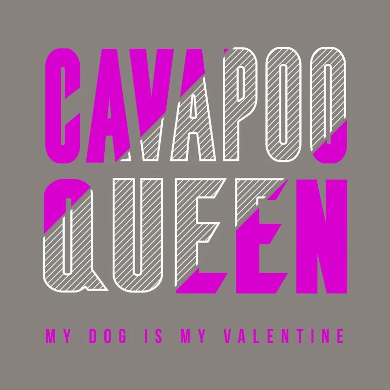Cavapoo Königin