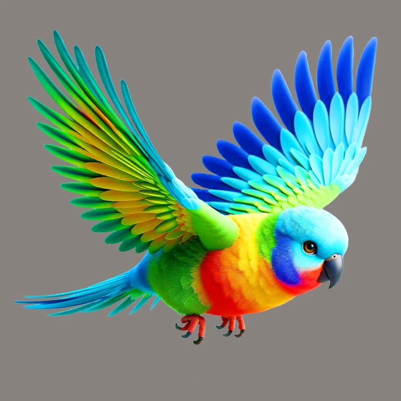 Rainbow Parakeet (03)