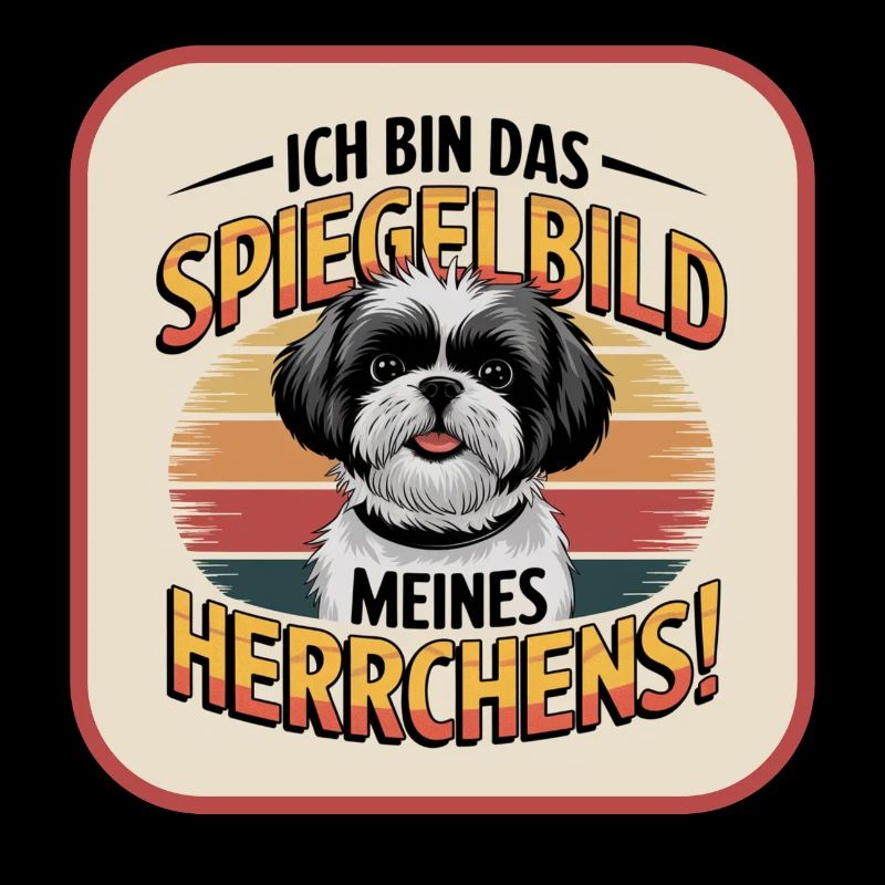 Shih Tzu : le reflet de mon maître chien