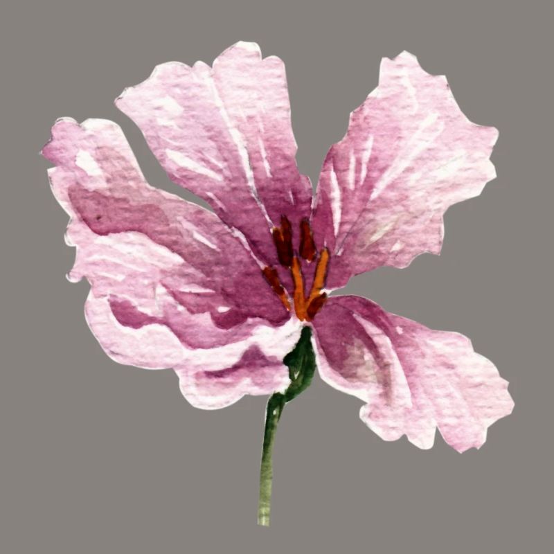 fleur