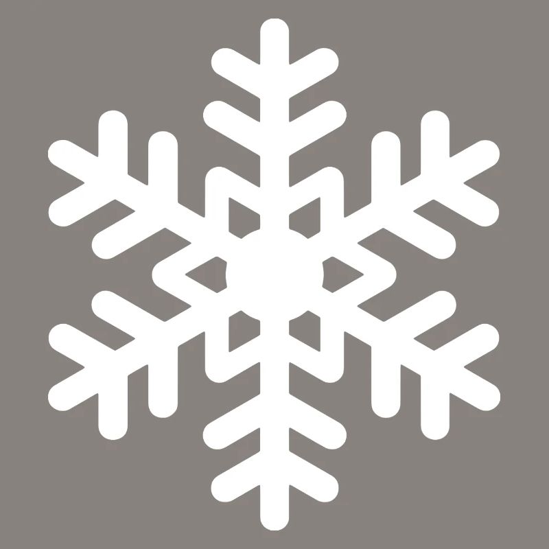 Snowflake Snow