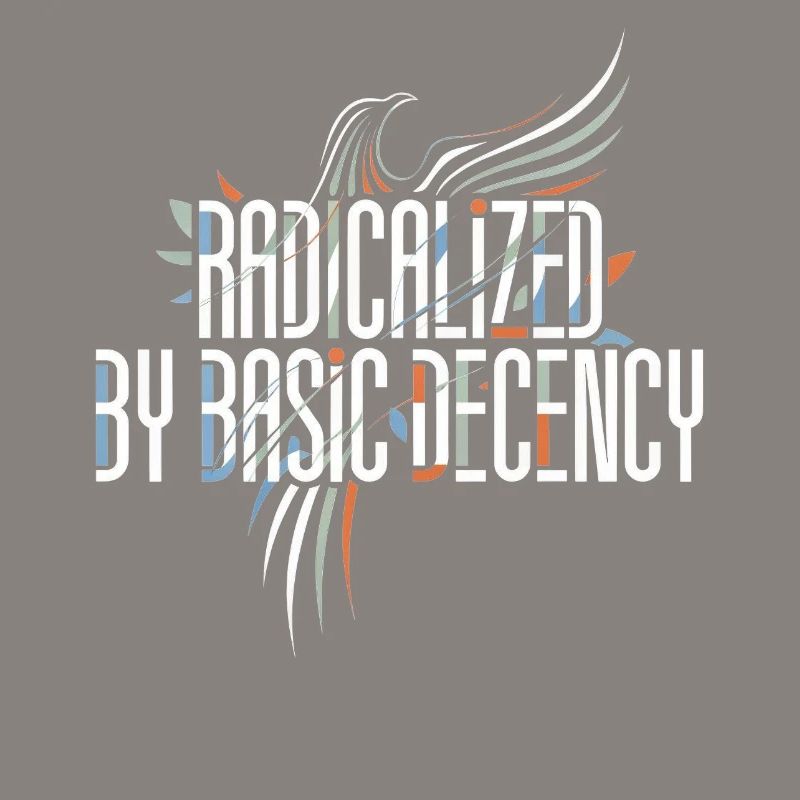 Radicalized by Basic Decency Shirt for Activists