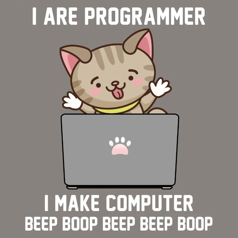 Programmierer