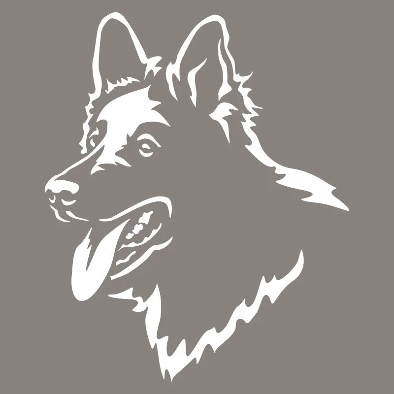 Schweizer Schäferhund Kopf