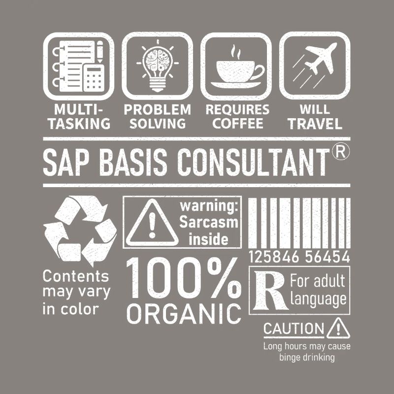 Sap Basis Consultant multi tasking problem solving