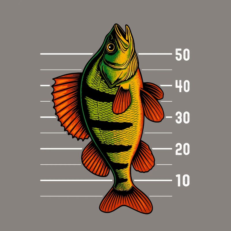 Perch Perch Perch Perch Bait