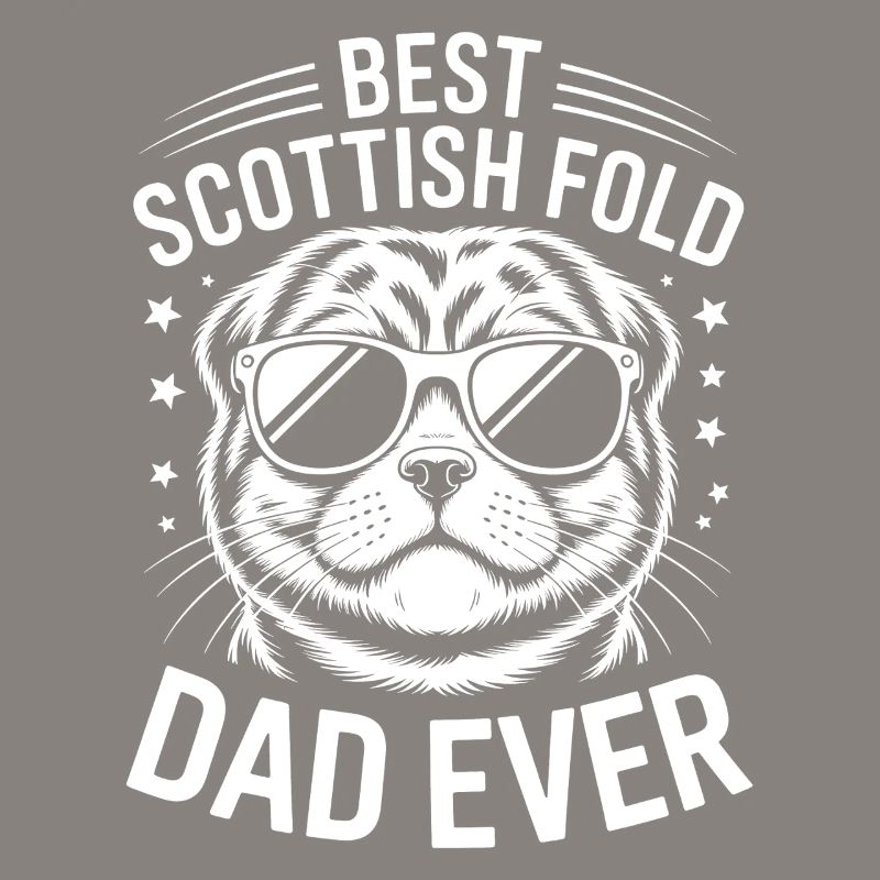Schottische Faltohrkatzen Scottish Fold Geschenk